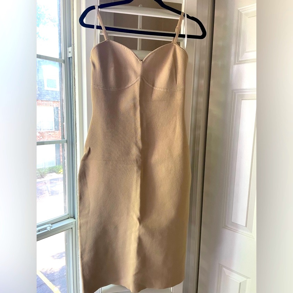 Aritzia dress
